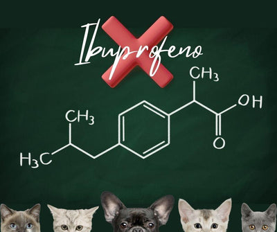 ¡PELIGRO! ¡TÓXICO AL ACECHO! IBUPROFENO EN PERROS Y GATOS - Luna y Copito