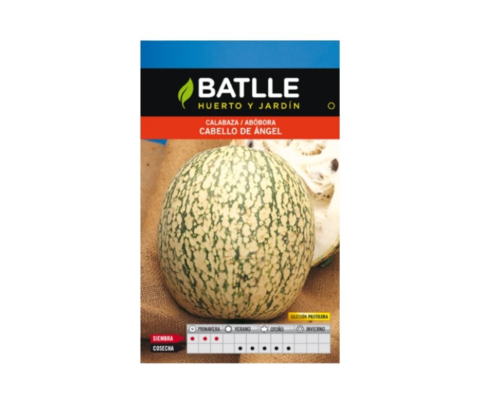 CALABAZA CABELLO ANGEL PASTELERA - Luna y Copito