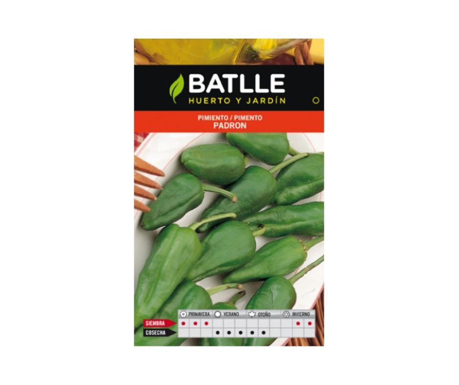 PIMIENTO DEL PADRON - Luna y Copito