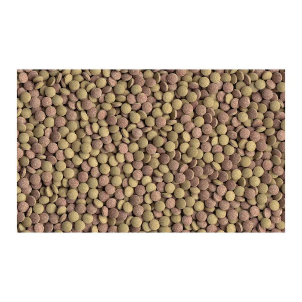 Comida para peces Tetra TabiMin tabletas