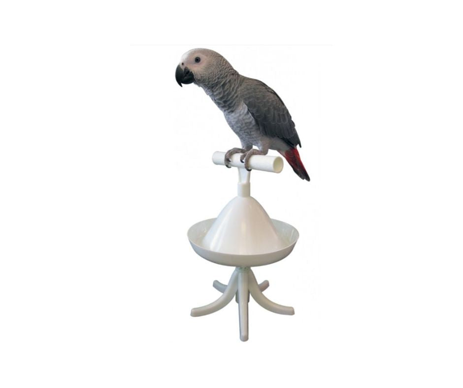 PERCHER PERCHA DE ENTRENAMIENTO PARA LORO - Luna y Copito