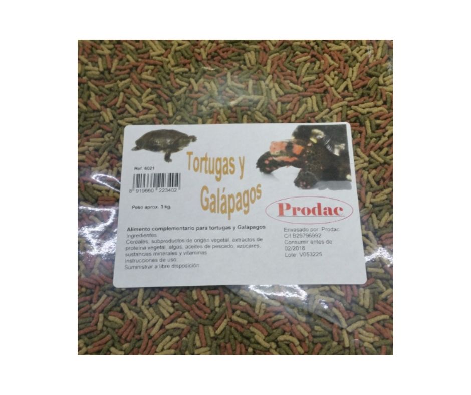 TORTUGA/GALAPAGO PRODAC Bandeja transparente - Luna y Copito