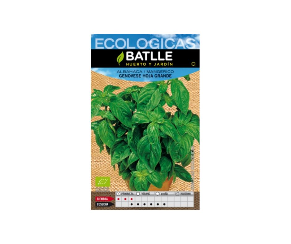 Semillas de Albahaca Genovesa Hoja Grande - Luna y Copito