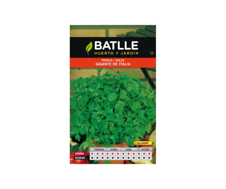PEREJIL GIGANTE ITALIA - Luna y Copito