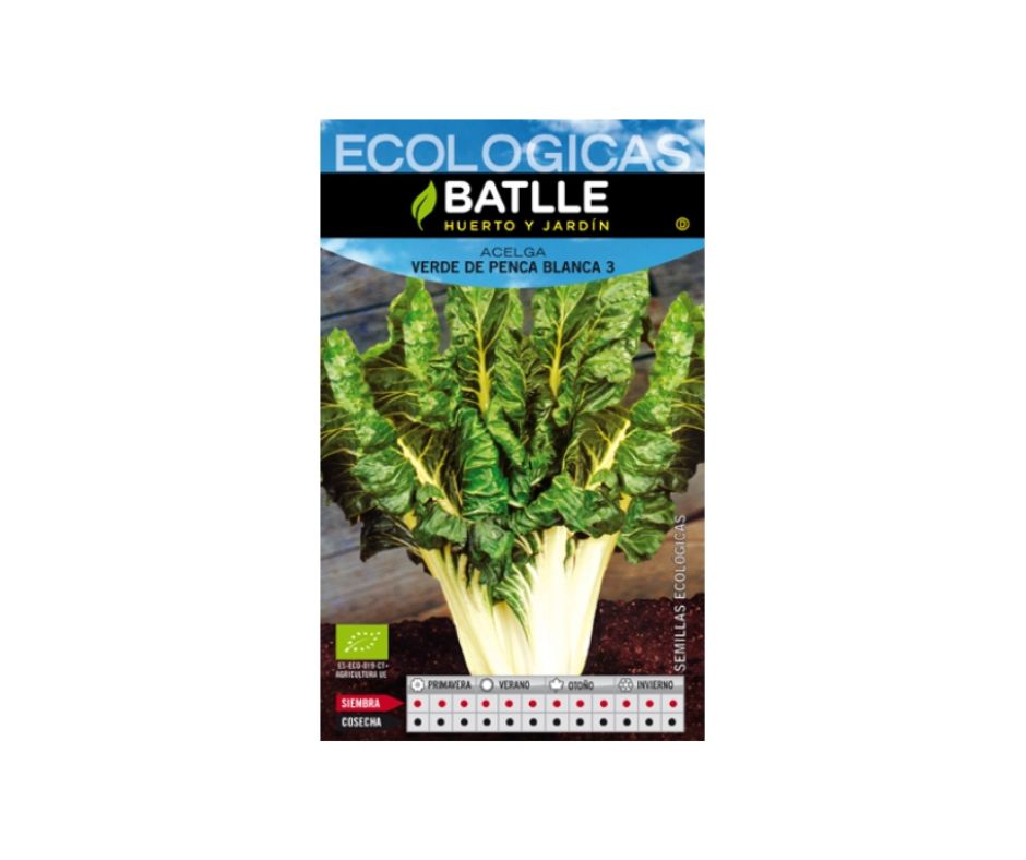 Acelga Verde Blanca Pencosa - Luna y Copito