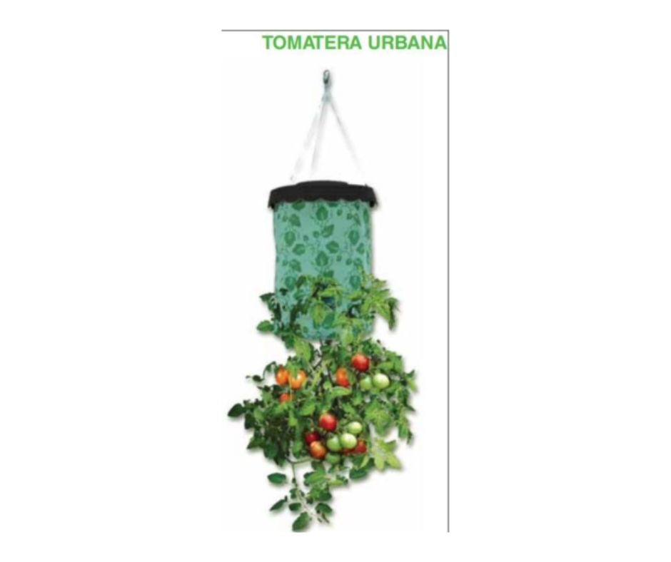 TOMATERA URBANA 40x22cm - Luna y Copito