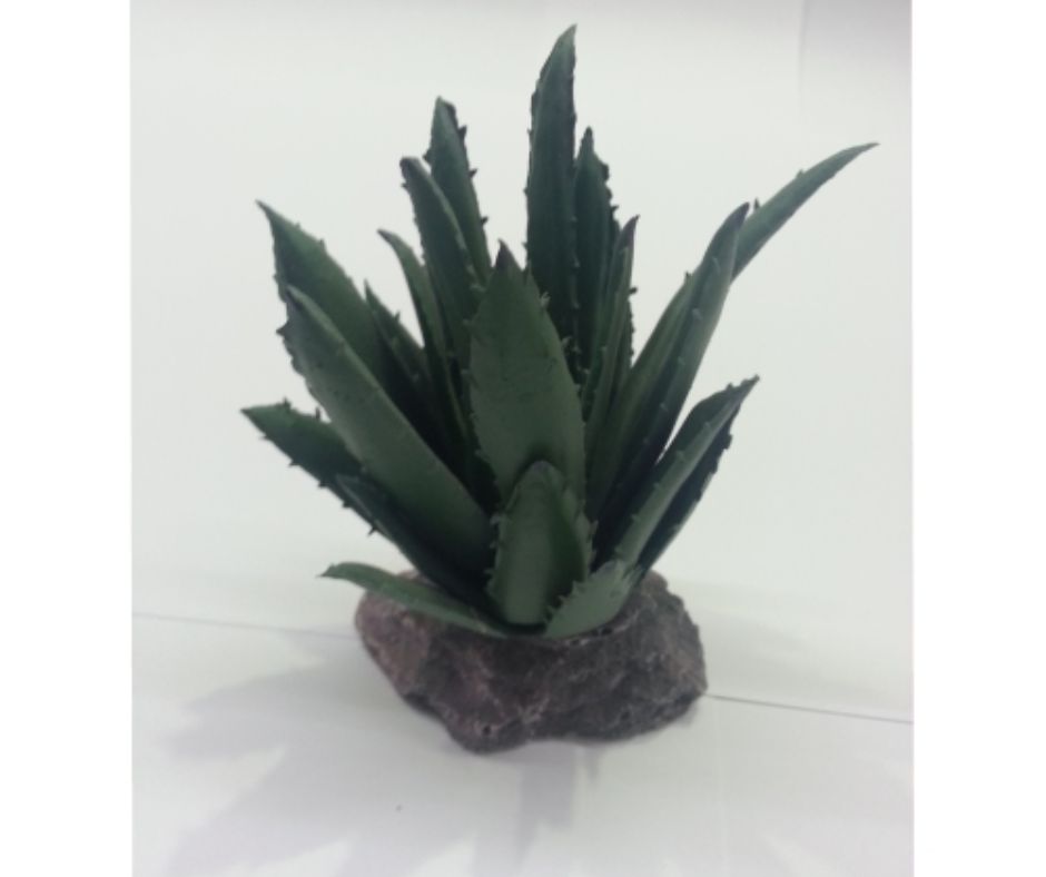 {{ Titulo del producto }} - LUNA Y COPITO {{ tipo de producto }}