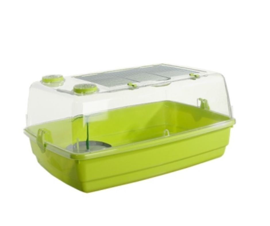 TORTUGUERA 501 VOLTREGÁ - Luna y Copito