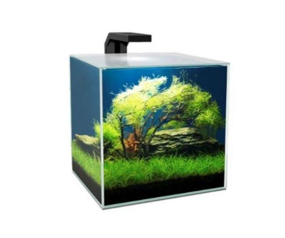 {{ Titulo del producto }} - LUNA Y COPITO {{ tipo de producto }}