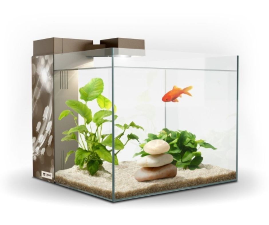 ACUARIO ZENEO 30 CAPACIDAD 30 LITROS - Luna y Copito