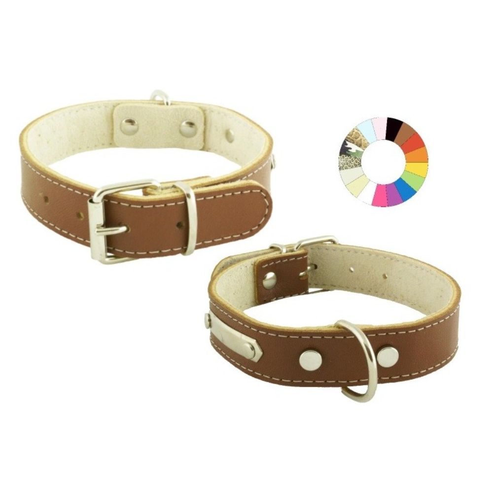 Collar Mountain Blanco para Perros