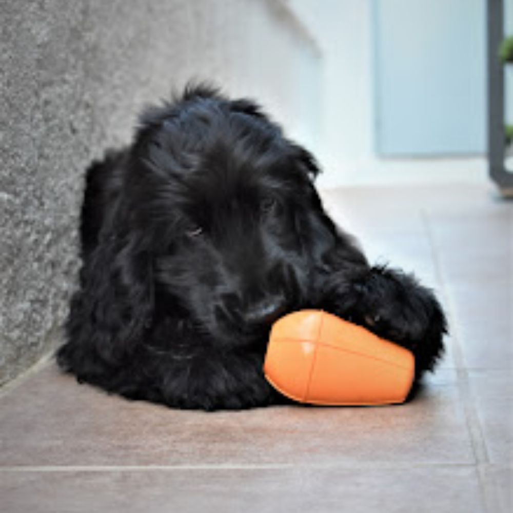 Conic Rellenable de Dureza Media para perros Rucan