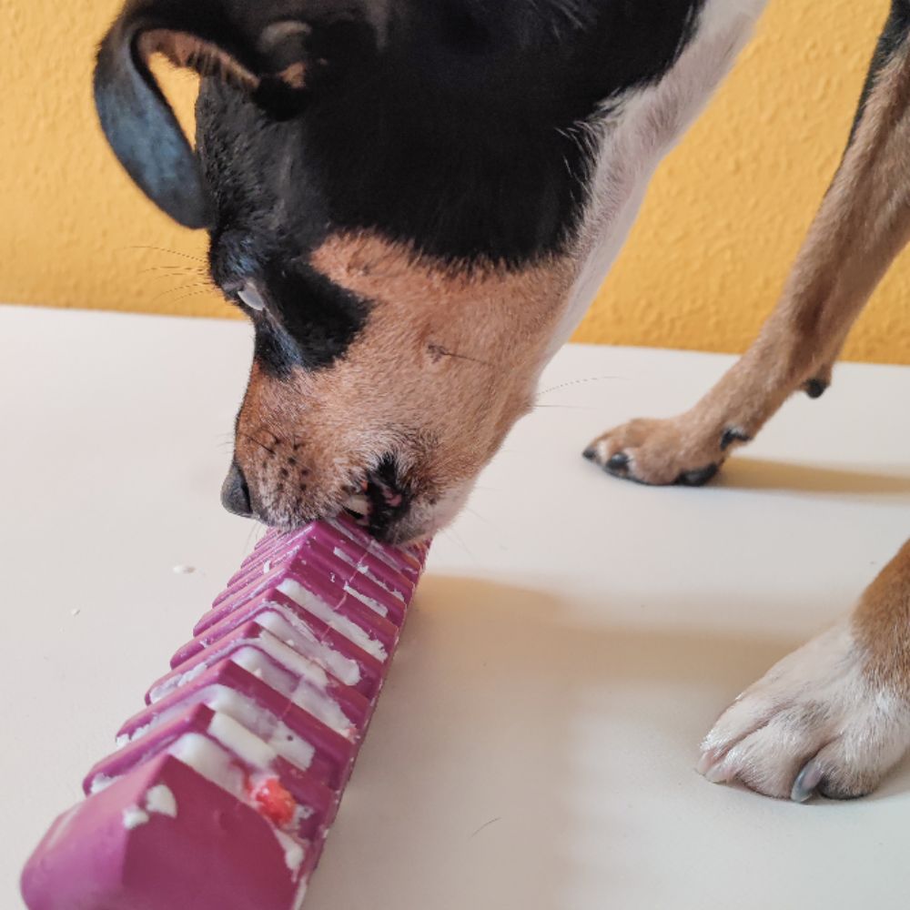 Stick 5 Lila para perros