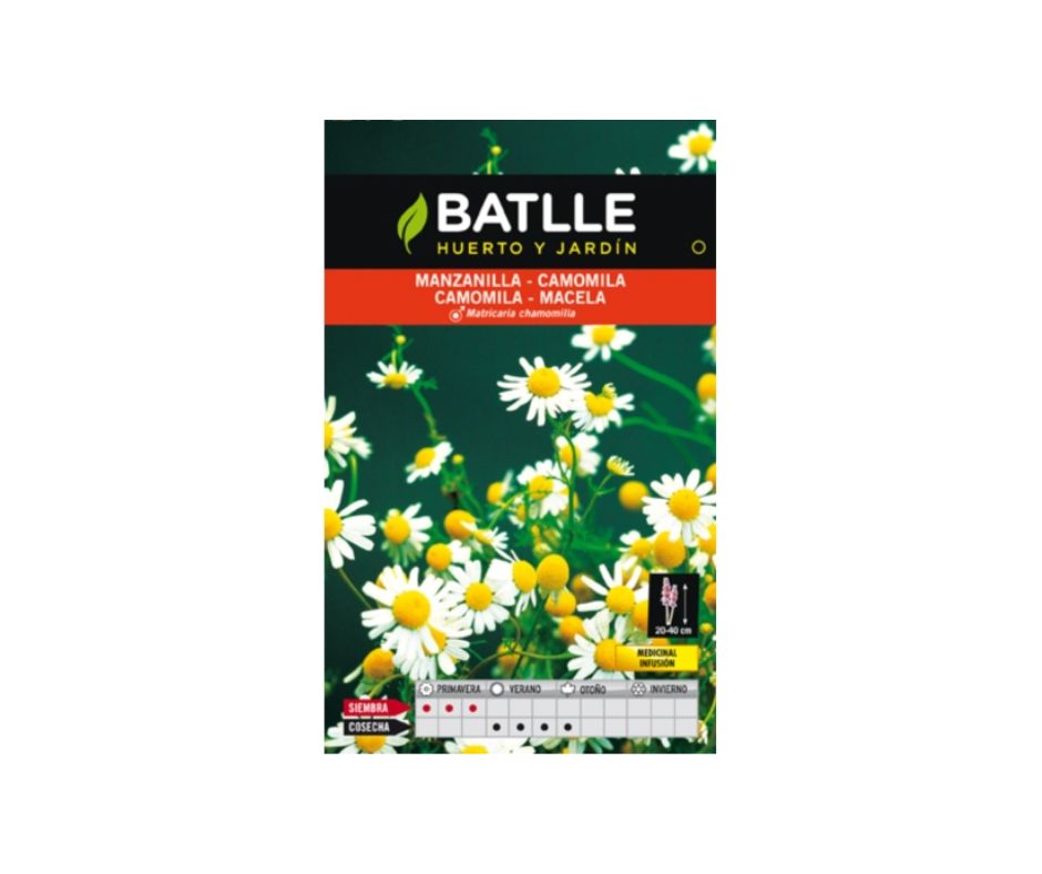 MANZANILLA CAMOMILA - Luna y Copito