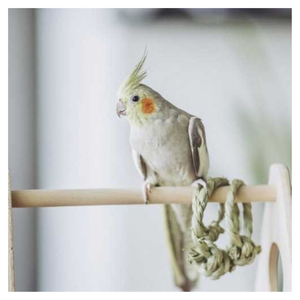 Grit con coral para Pájaros Versele Laga