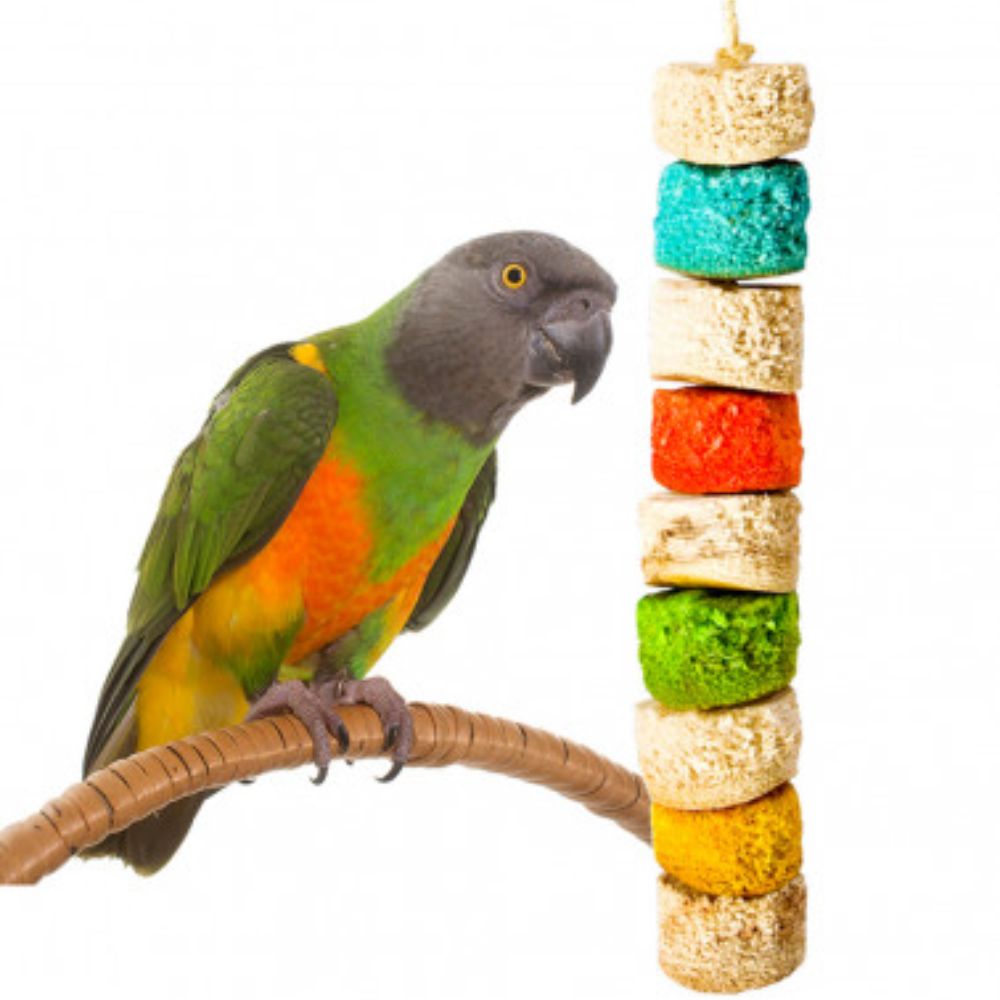 Juguete Mini Max Bird Kabob para Loros