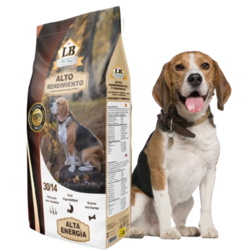 LOBBY ALTO RENDIMIENTO 18 KG – Alta energía