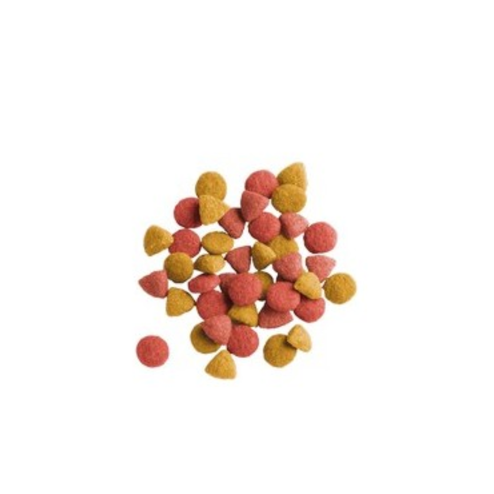 Lara Cat Adult Sterilized Pollo 2 kg