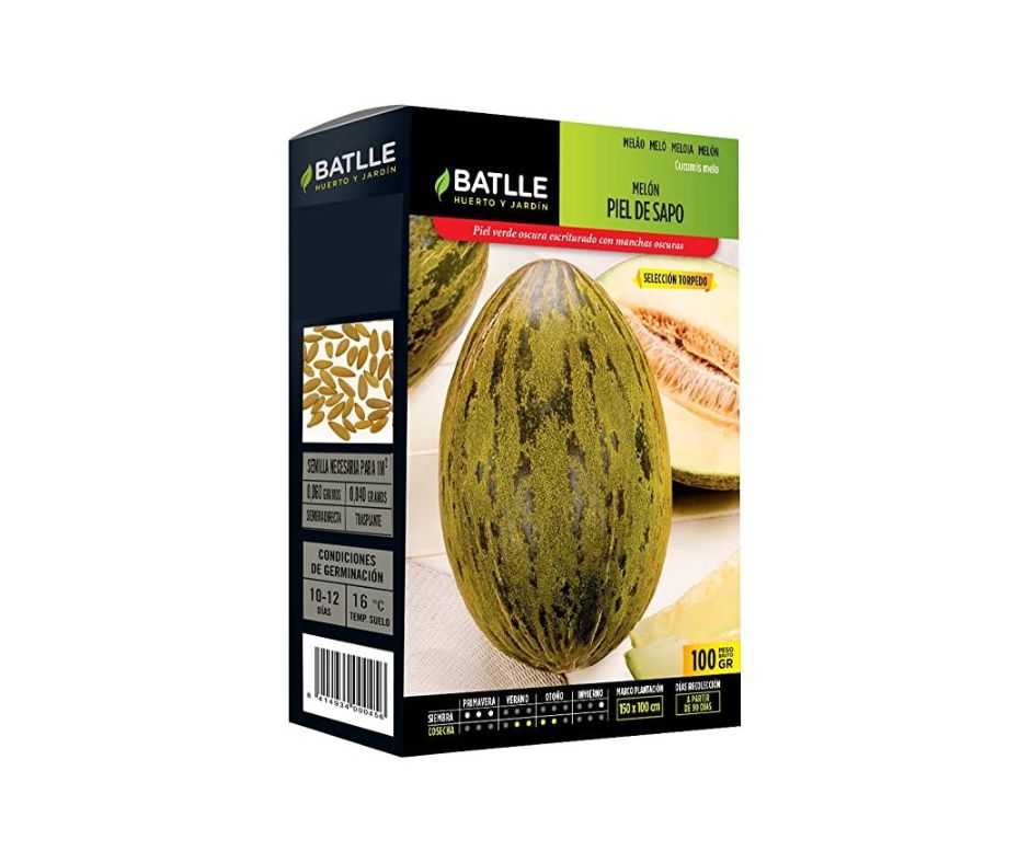 MELON PIEL DE SAPO TORPEDO - Luna y Copito