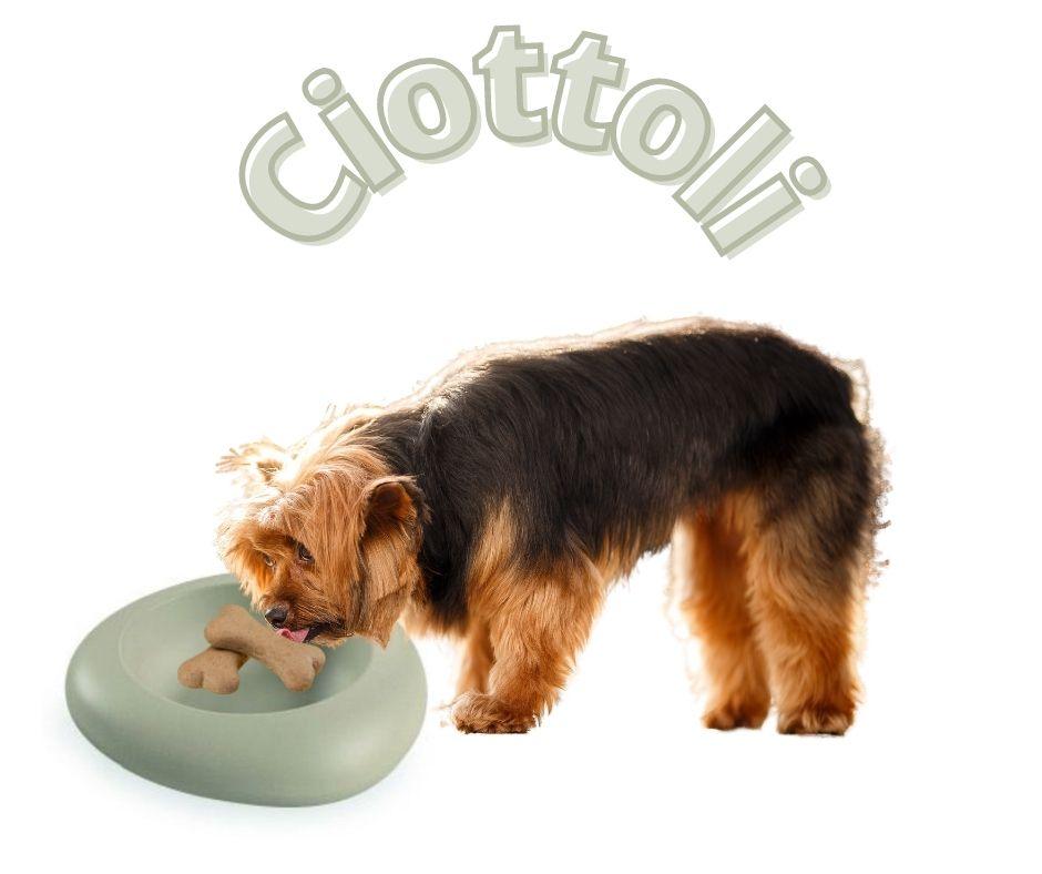 Comederos Originales para Perros y Gatos Ciottoli - Luna y Copito