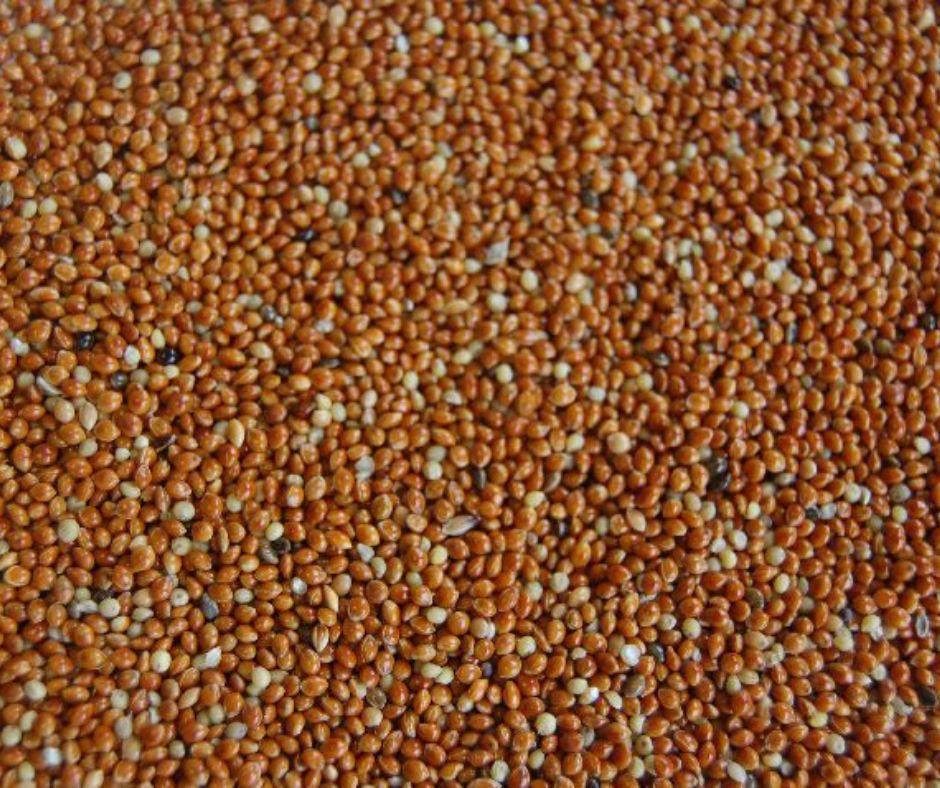 {{ Titulo del producto }} - LUNA Y COPITO {{ tipo de producto }}