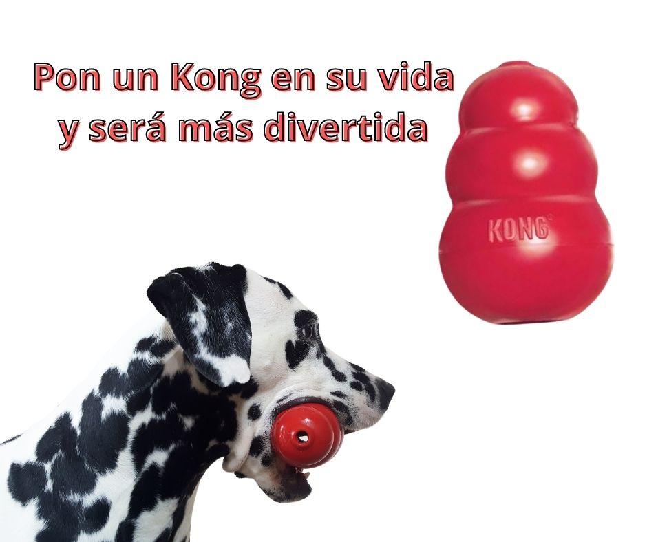 Juguete Kong para Perros - Luna y Copito