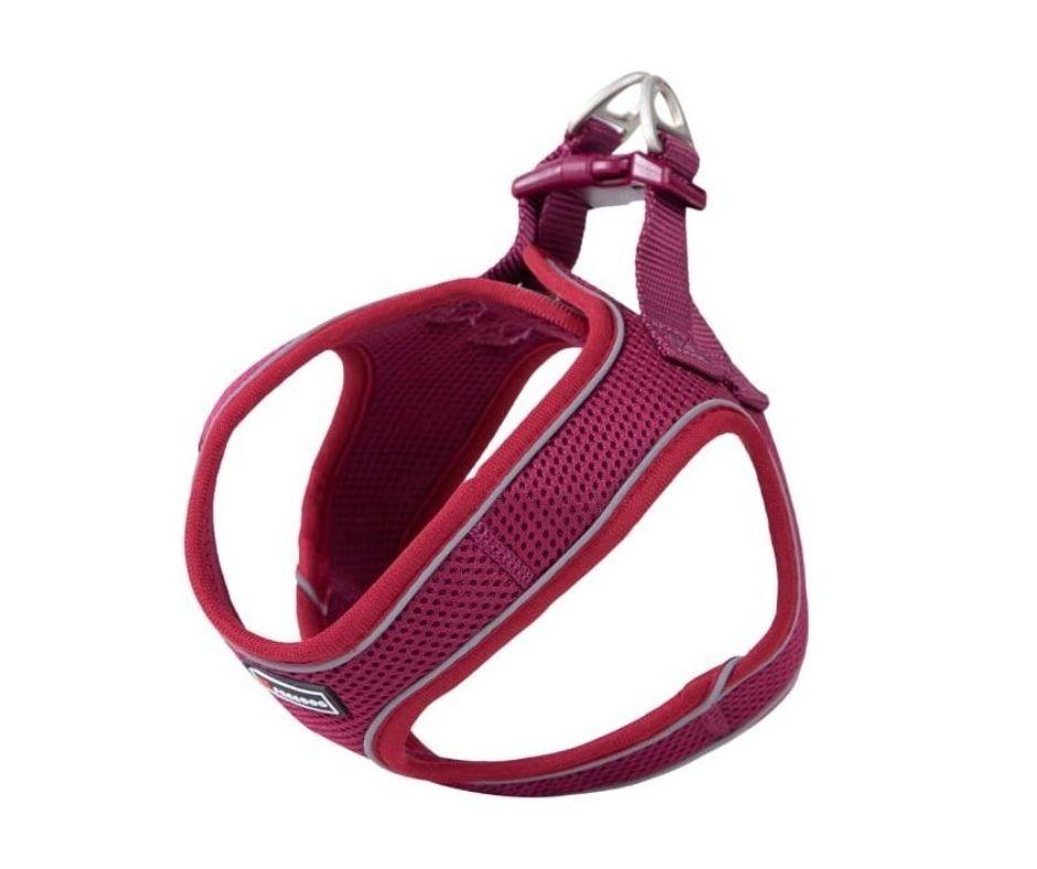 Arnes para Perro Toy Mini Soft Freedog - Luna y Copito
