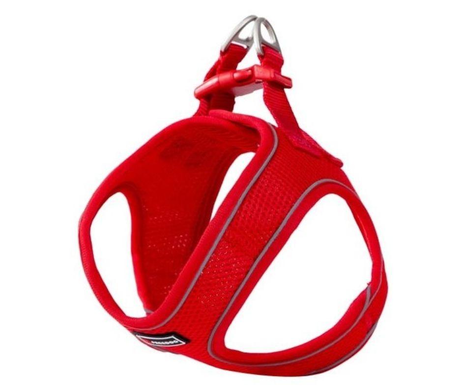 Arnes para Perro Toy Mini Soft Freedog - Luna y Copito