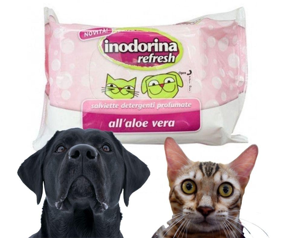 Toallitas Inodorina Aloe vera Refresh - Luna y Copito