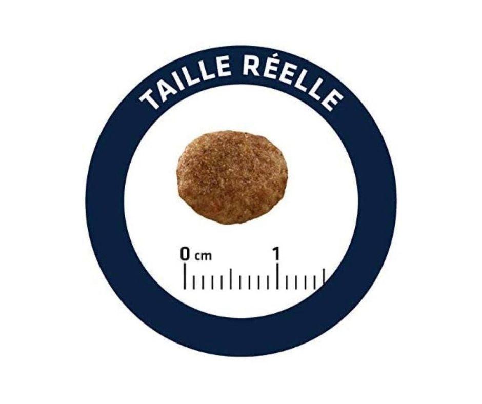 Advance Urinary para Gatos - Luna y Copito