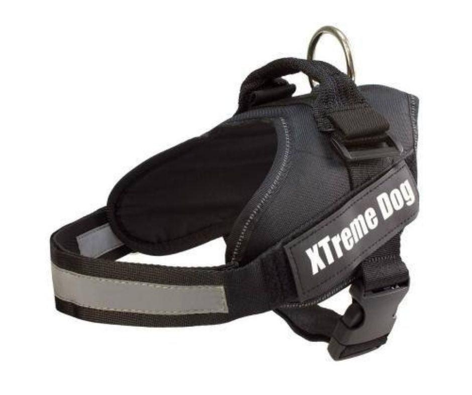 Arnés Anti tirones para Perros XtremeDog - Luna y Copito