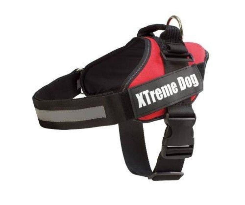 Arnés Anti tirones para Perros XtremeDog - Luna y Copito