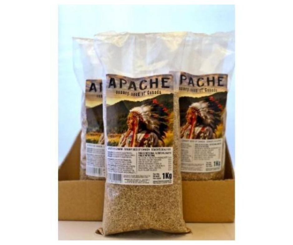 Alpiste para Pájaros Canadá Apache - Luna y Copito