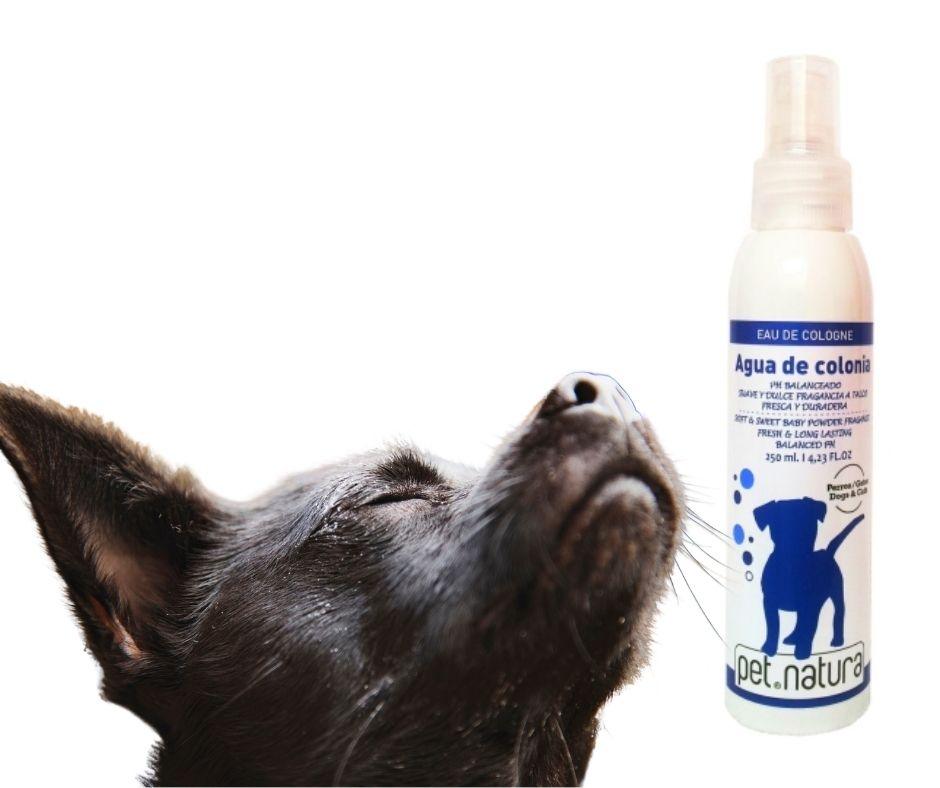 Colonia para Perros con aroma de Talco Pet Natura - Luna y Copito