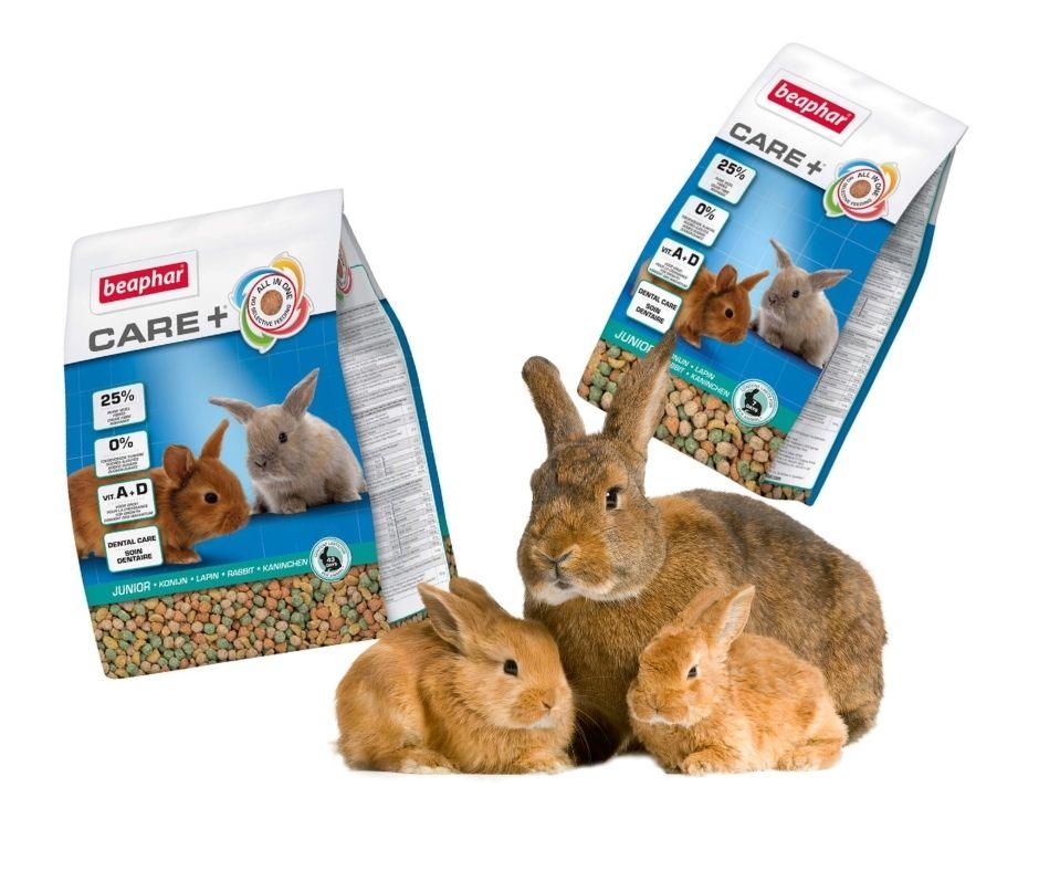 Care Junior para Conejos cachorros Beaphar - Luna y Copito