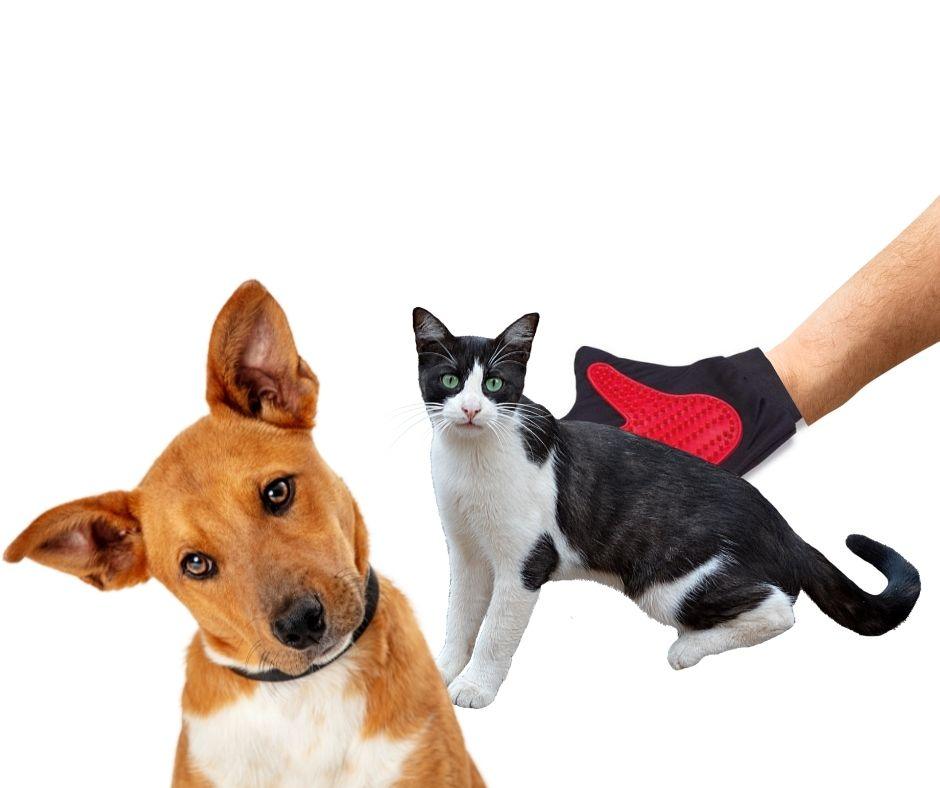 Guante para Gatos y Perros Arquivet - Luna y Copito