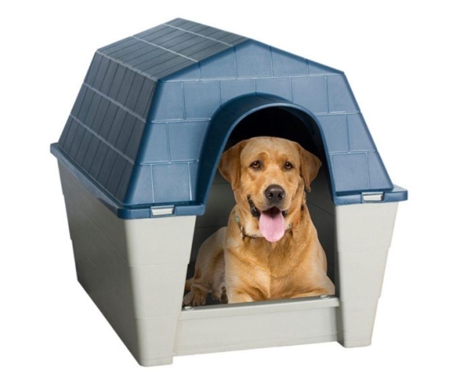 Caseta para Perros grandes Royale - Luna y Copito