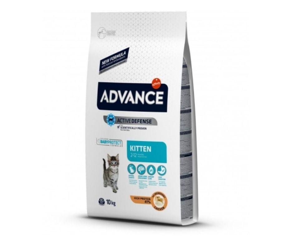 Advance Cat Kitten para Gatos - Luna y Copito