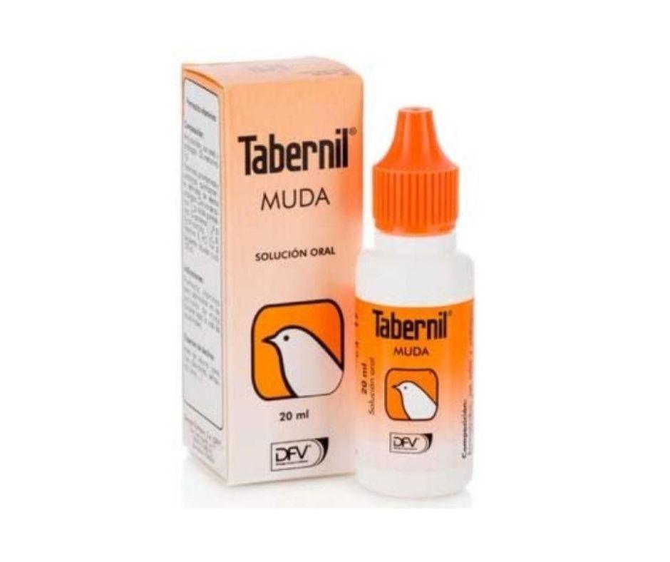 Tabernil Muda para Pájaros - Luna y Copito
