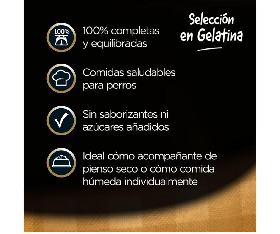 Comida Húmeda Cesar Pouch Select para Perros - Luna y Copito