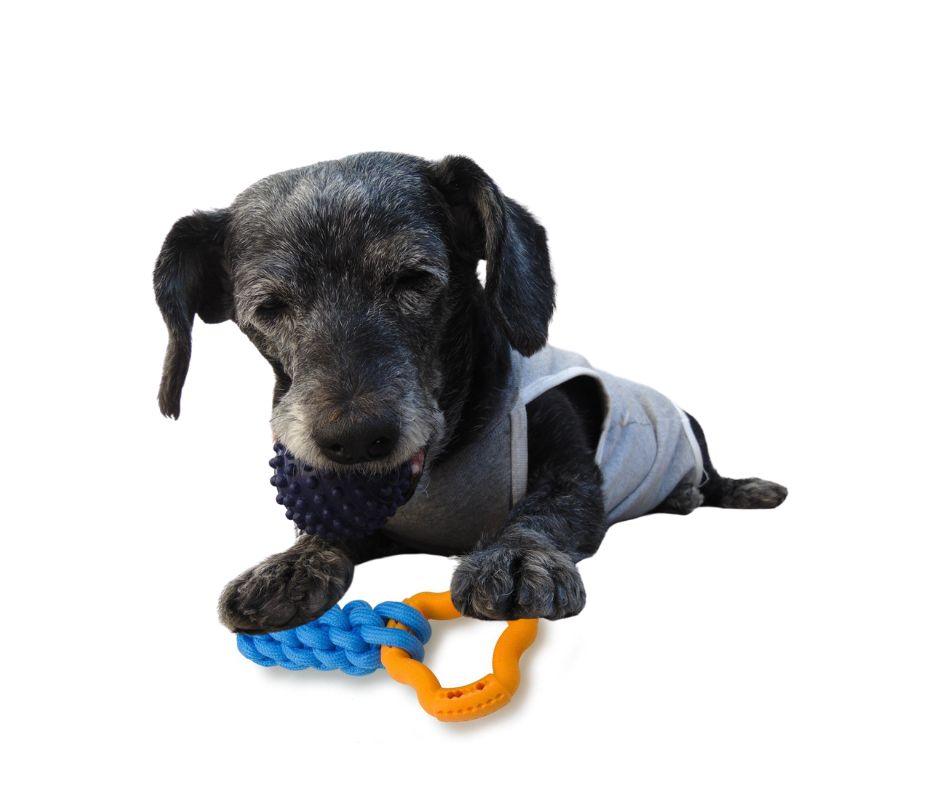 Juguete de Cuerda para Perros - Luna y Copito