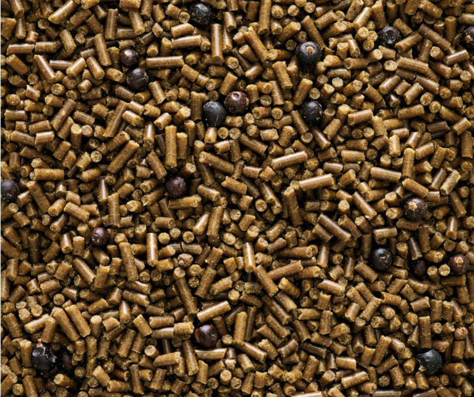 Nutribird Remiline - Luna y Copito