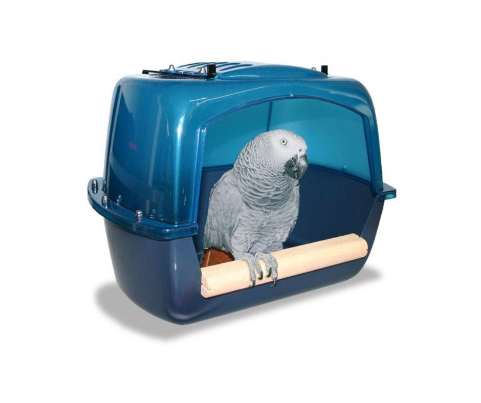 Bañera para Loros Sun Parrots - Luna y Copito