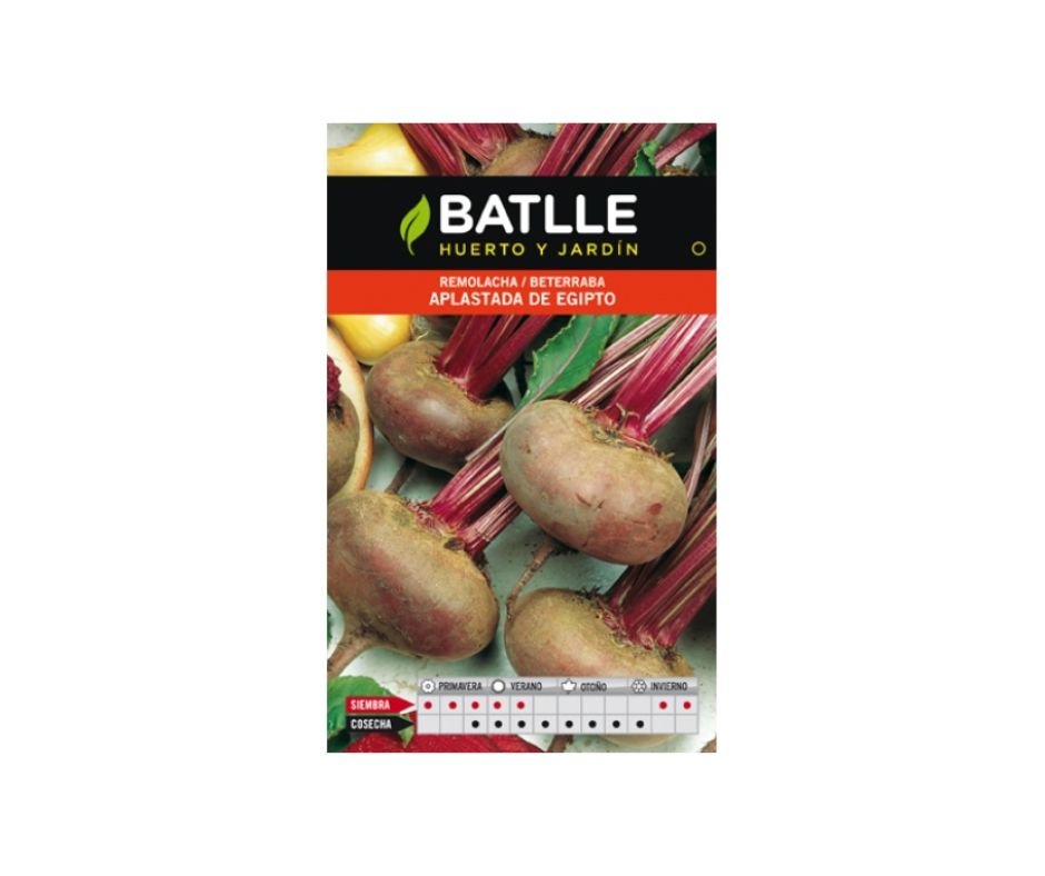 REMOLACHA MESA APLASTADA EGIPTO - Luna y Copito