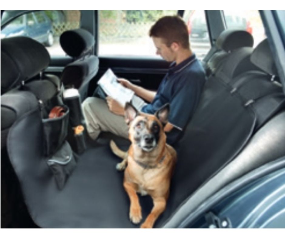 Cubreasientos Nylon para coches - Luna y Copito