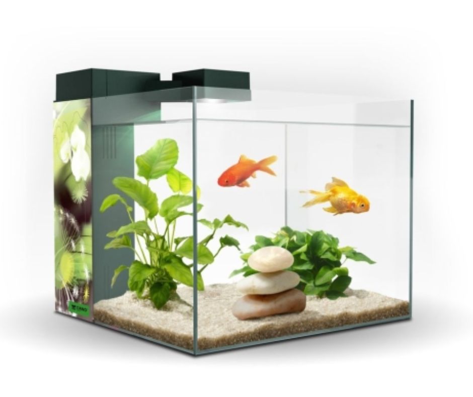 ACUARIO ZENEO 30 CAPACIDAD 30 LITROS - Luna y Copito