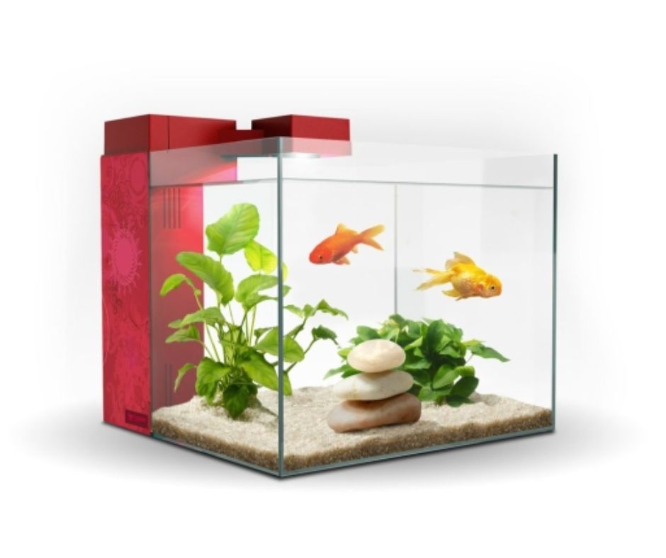 ACUARIO ZENEO 30 CAPACIDAD 30 LITROS - Luna y Copito