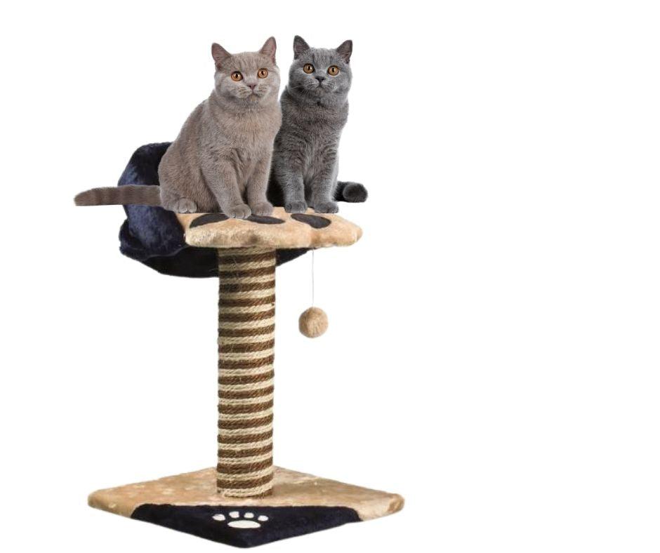 Rascador Gato Félix - Luna y Copito