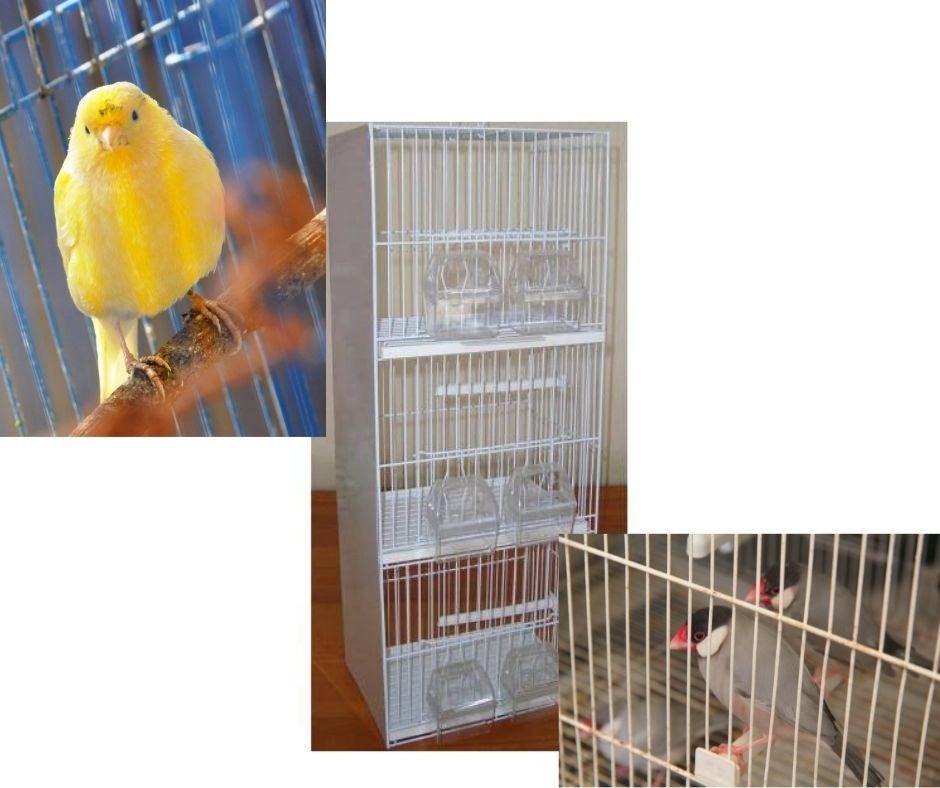 Jaula de cría para Pájaros pequeños Imor 27 - Luna y Copito