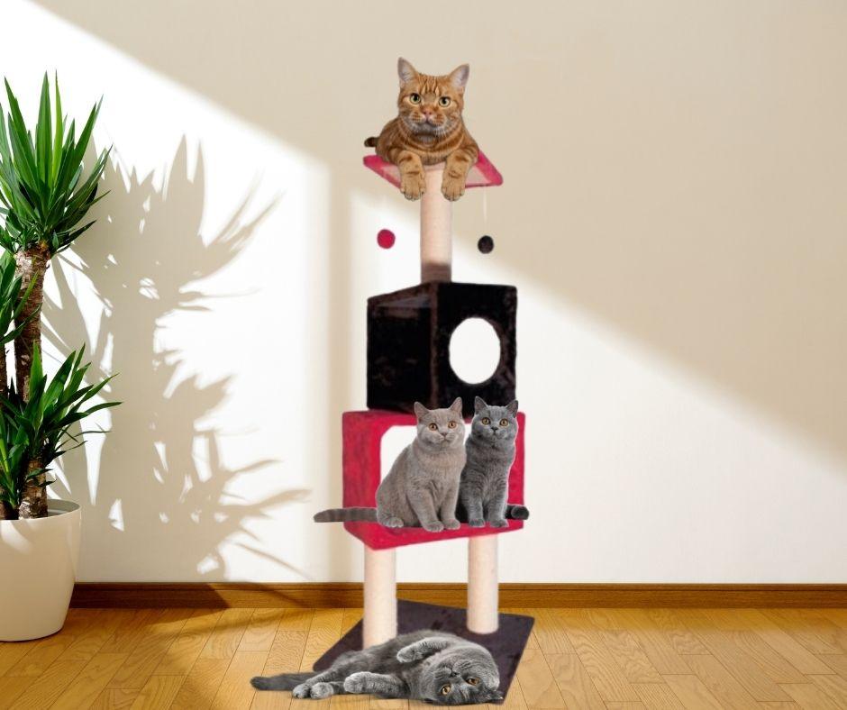 Árbol Rascador para Gatos Red/Black - Luna y Copito